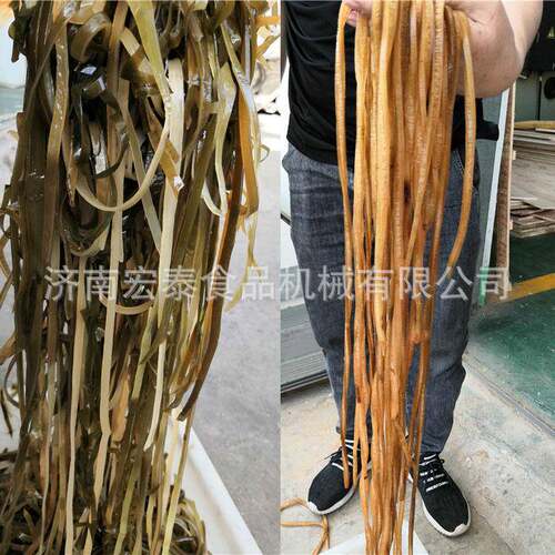 滚刀条海丝带切机 海茸切丝机 全自动切海带丝机鱼肉切带鱼切金龙