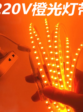 橙色灯带220V橘色黄色橘红色金黄光酒吧酒馆火焰氛围霓虹led灯条