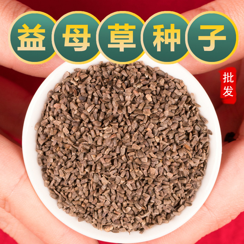 药用益母草种子苗食用种籽药材子阳台四季盆栽蔬菜兽用孑云母草