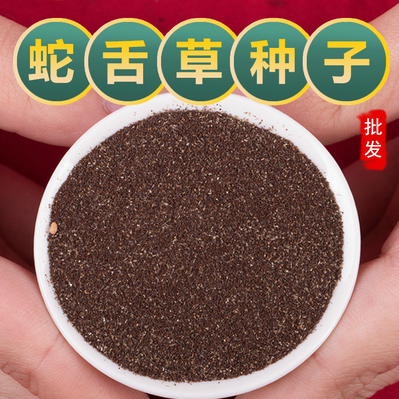 白花蛇舌草种籽中药材种子百花蛇舌草子半枝莲种籽蛇舌草种子包邮