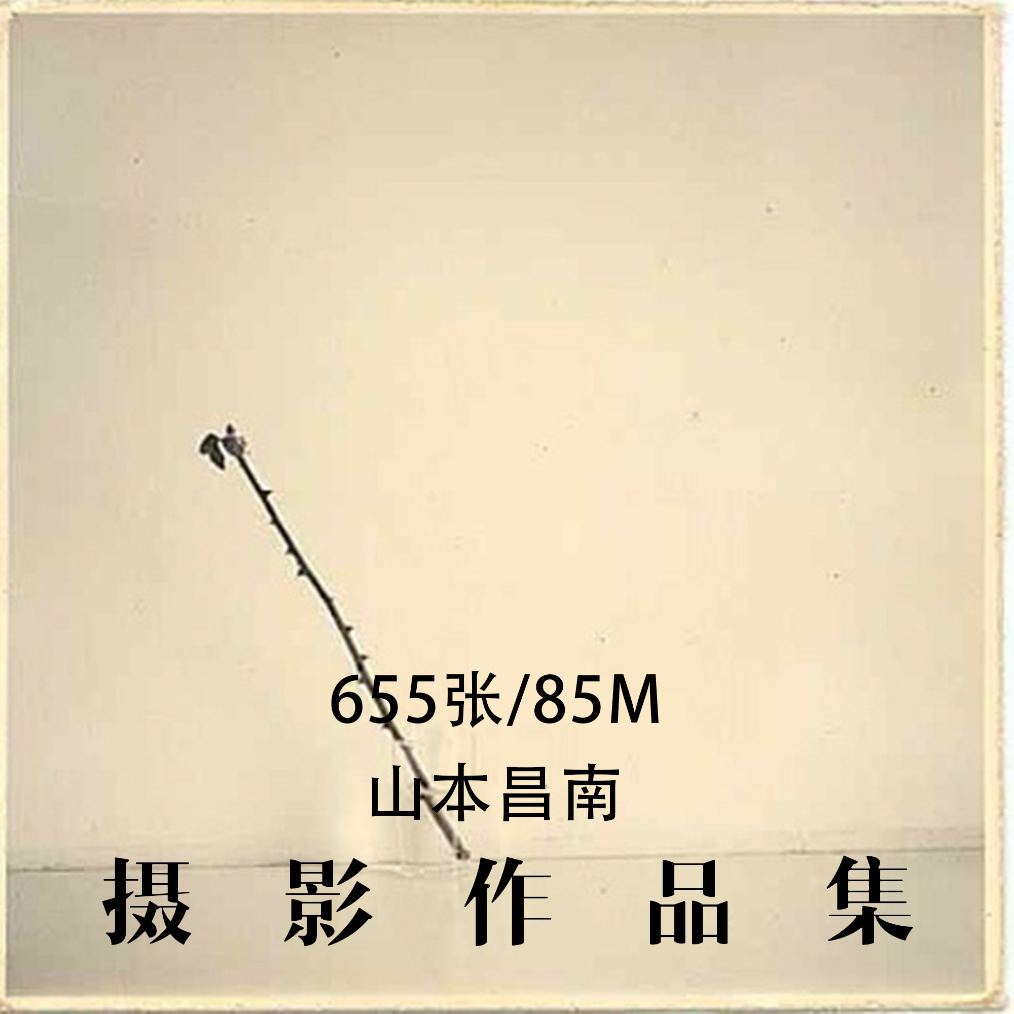 山本昌南摄影大师摄影作品集参考素材审美提升资料