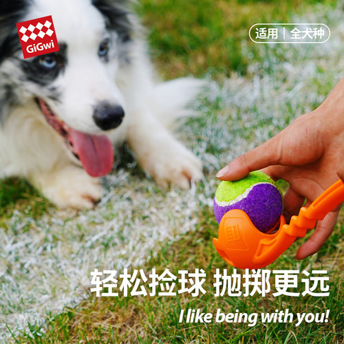 GiGwi贵为狗狗玩具球巡回训练