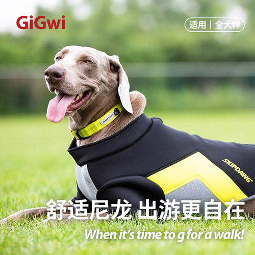 贵为尼龙狗狗牵引绳项圈