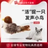 Товары от GiGwi贵为旗舰店