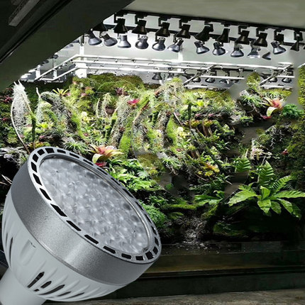植物灯单灯全光谱led补光射灯室内花卉仿太阳生长雨淋缸多肉灯泡