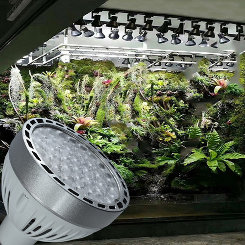 加瑞华雨林灯单灯植物补光生长灯