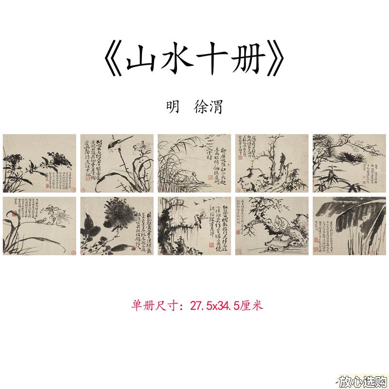 明徐渭徐天池山水真迹图册十开国画仿古字画高清微喷b复制临摹范
