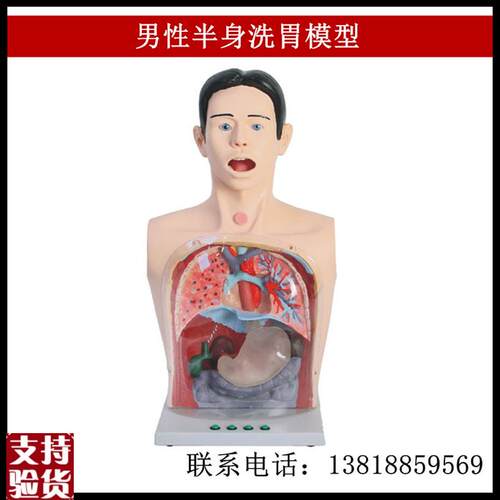 男性半身洗胃模型鼻饲法气管切开护理可直Z观演示操作