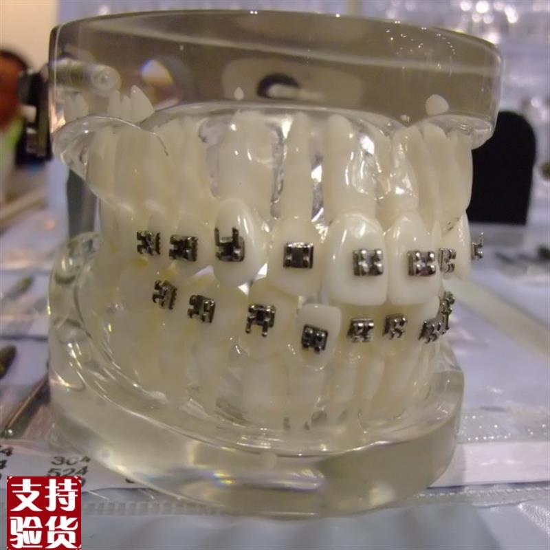 ENOVO颐诺口腔正畸弓丝实训模型正畸训练M口腔正畸弓丝弯制正畸教