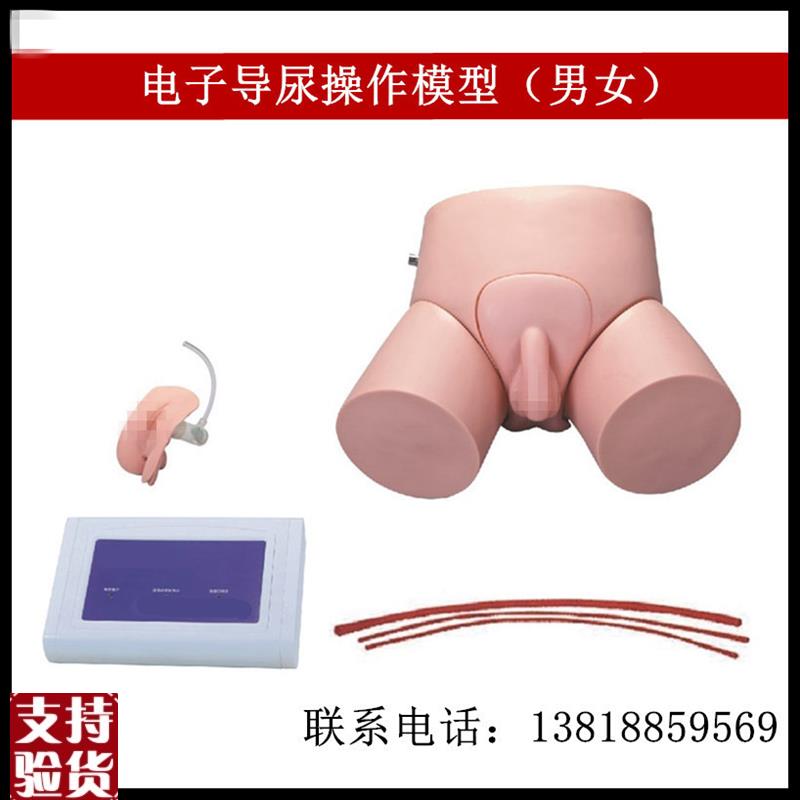 电子男性导尿操q作模型电子女性导尿操作模型