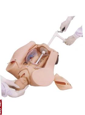 上海医模YM/F53高级手摇分娩W机制示教模型