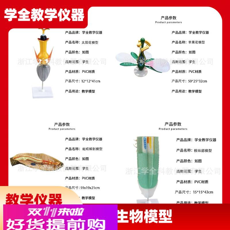 高中生物模型教学演示教具 生物动物模型 植物模型 生物教学仪器