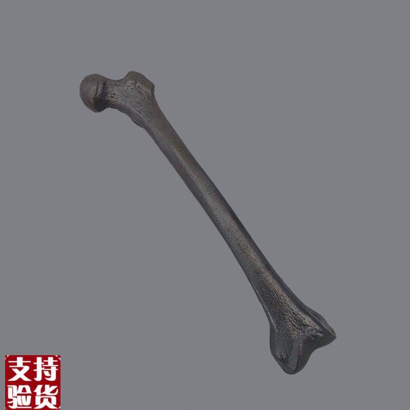 康泰仿真b骨手术实训1比1下肢股骨X光CT显影骨科器械实操皮质松质