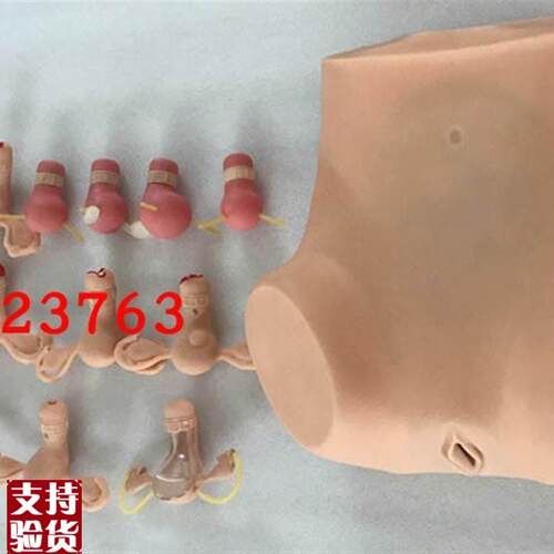 高级妇科综合检查训q练模型正常和各类异常子宫触诊检查模型