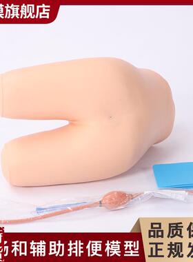 沪模HM/H35灌肠辅助排便训练模型I灌肠练习模具老年排便病人