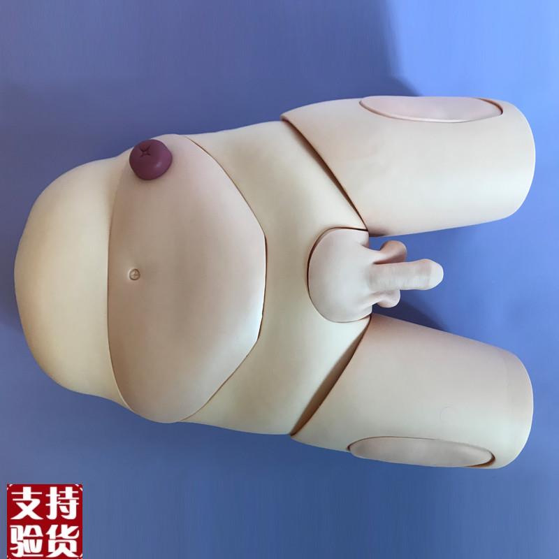 高级男女性别导尿模型生殖器官y可互换护理操作训练示教模具造瘘