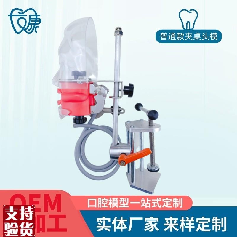 牙科简易b仿真头模树脂可拆卸牙齿备牙正畸修复仿头模口腔教学模