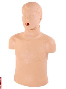 CPR155高级成人气道梗R塞及CPR模型