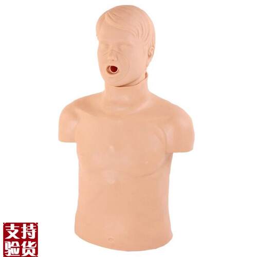 CPR155高级成人气道梗R塞及CPR模型