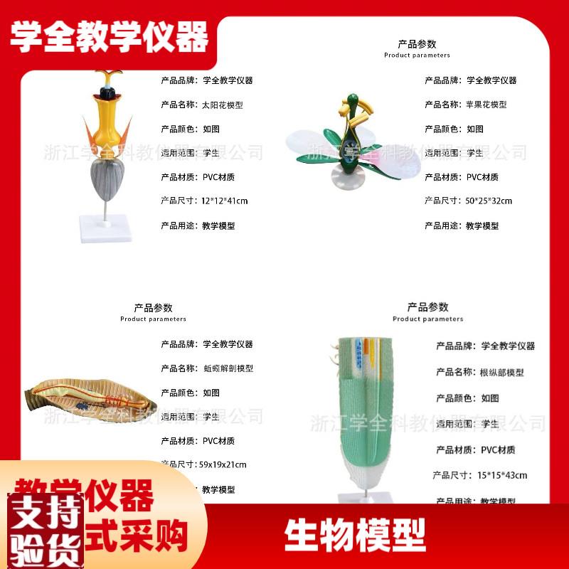 高中生物模型教学演示教具生物动物模型M植物模型生物教学仪器