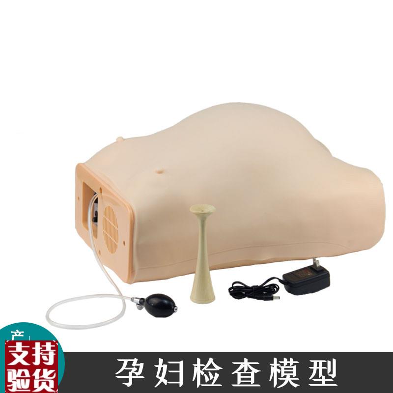 FW2高级电脑孕妇检查模腹部触诊模H型产前检查妇产科训练模型