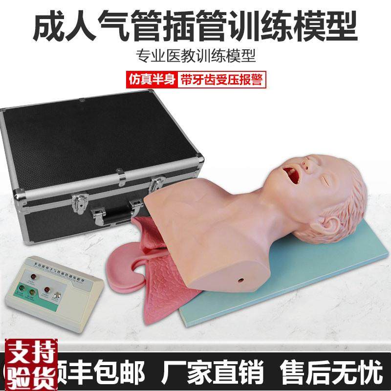继科高级c电子人体气管插管模型(带报警)急救插管练习厂家直销,文具电教/文化用品/商务用品,模拟人,淘宝优惠券,粉丝福利购,淘宝优惠卷