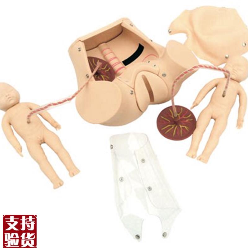 高级分娩综合技能训练模型EJY/F20佳悦科教通
