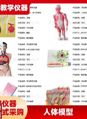 人体模型生物模型初高中s生物实验器材中学生物教学教学模型展示
