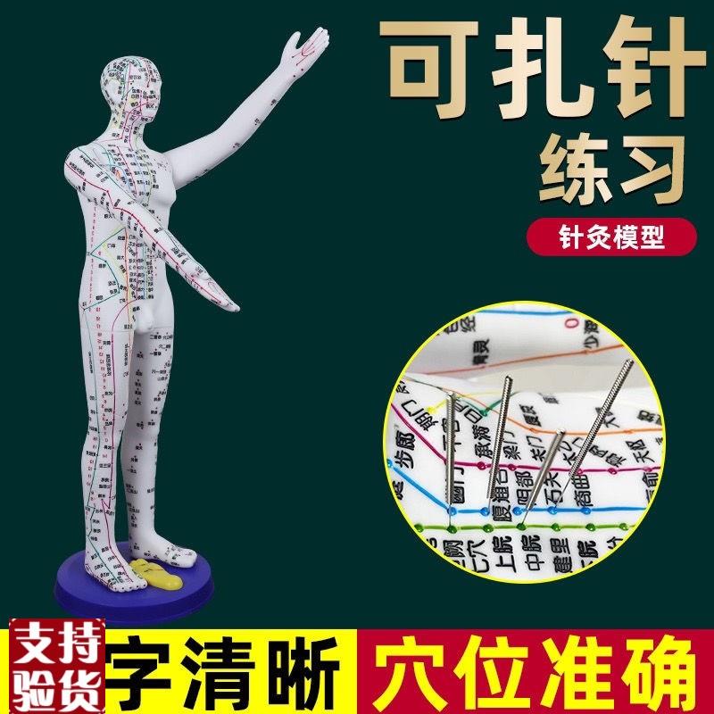 董氏奇穴人体模型仿真大号中医针灸可扎I针十二经络铜人全身穴位