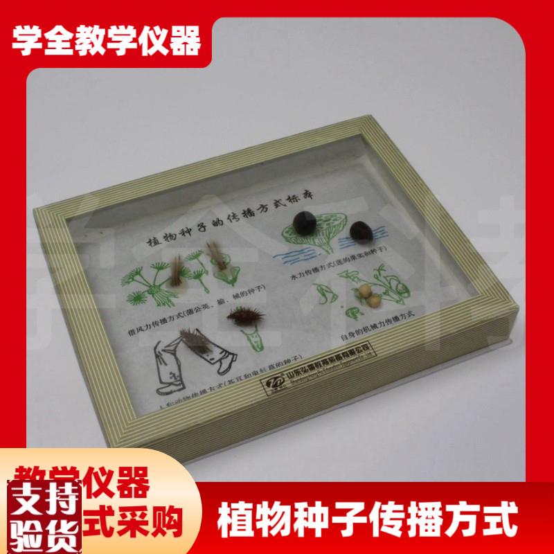 植物种子传播方i式标本小学科学生物实验器材教学仪器教学标本