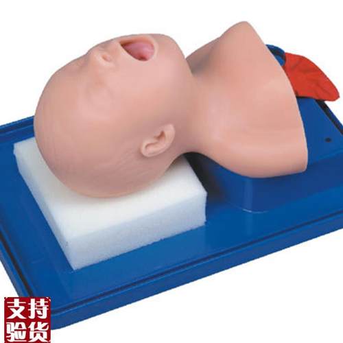 气管插管模型新生儿婴r儿儿童急救成人医用气管插管训练人体模型