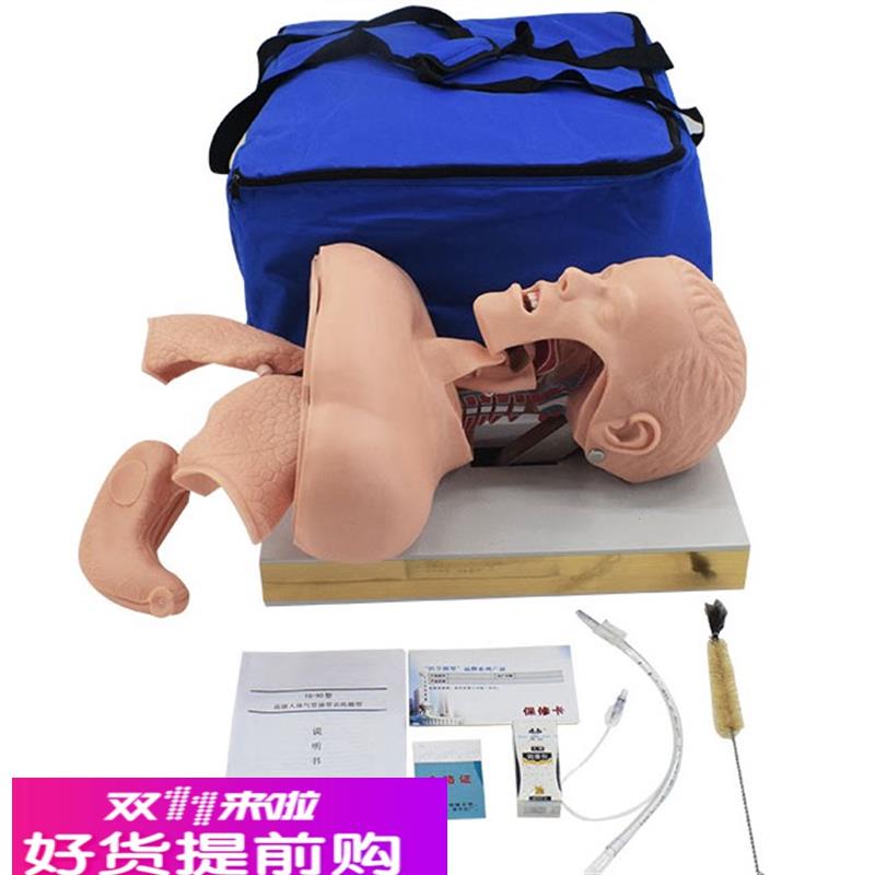 成人气管插管模型 人体气道插管模具带解剖结构教学模型