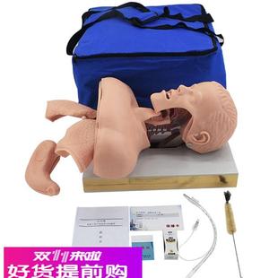 人体气道插管模具带解剖结构教学模型 成人气管插管模型