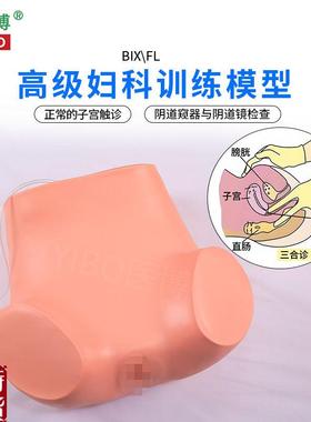 医博BIX-Fl高级妇科p检查训练模型仿真子宫触诊练习检查模型医学