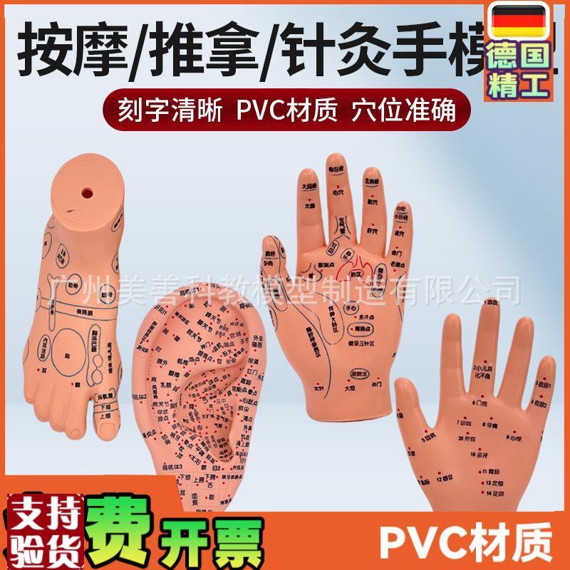 刻字清晰耳穴模型足穴模型穴位手A模型耳按摩手模型针灸耳16厘米