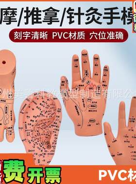 刻字清晰耳穴模型足穴模型穴位手A模型耳按摩手模型针灸耳16厘米