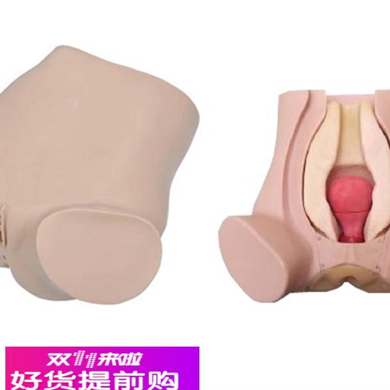 诊断性刮宫监测考核指导模型 诊断性刮宫仿真模型妇科检查