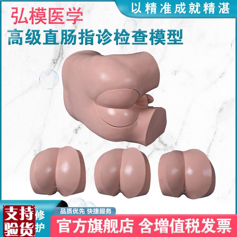 弘模HOM/LV39高级直肠指x诊检查模型前/列腺触诊模型肛门检查模型