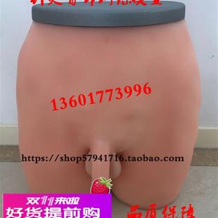 臀部针灸模型 针灸臀部训练模型 成人臀部针刺训练模具