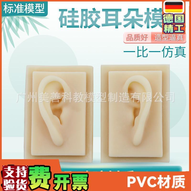 成人11仿真耳朵模型人体耳朵耳膜型L硅胶针灸耳朵(右耳)