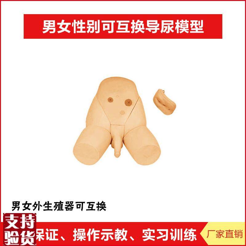 男女性别可互换护理导尿模型结肠造瘘K口护理模块厂家直销正品