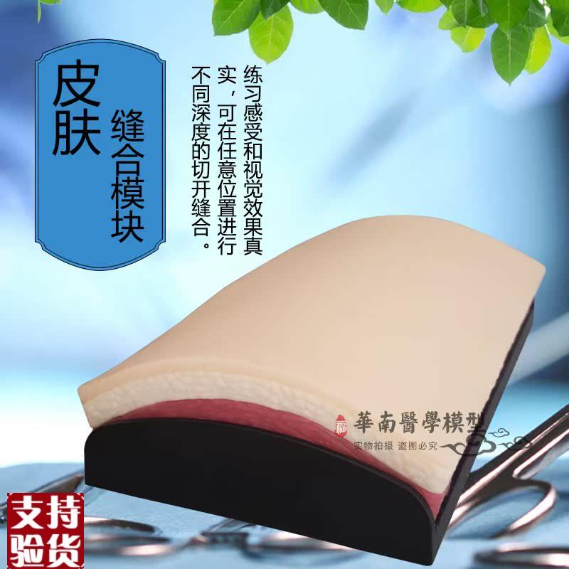 双眼皮练习皮皮肤缝合模型t埋线训练医学练习外科手术玩具硅胶模