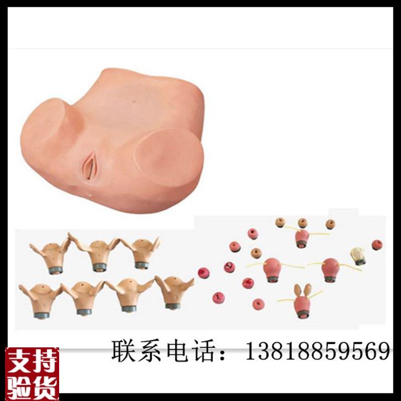 高级妇科综合检查o训练模型宫腔结构镜检查宫颈特价