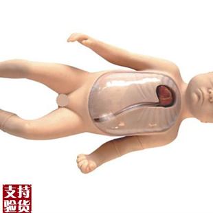 新生儿外a周中心静脉插管模型医学教学模型外周中心静脉插管模型