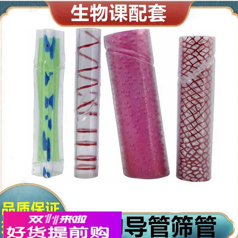 植物导管筛管 叶绿体 单子叶 双子叶植物茎 叶子结构 桃花 小麦花