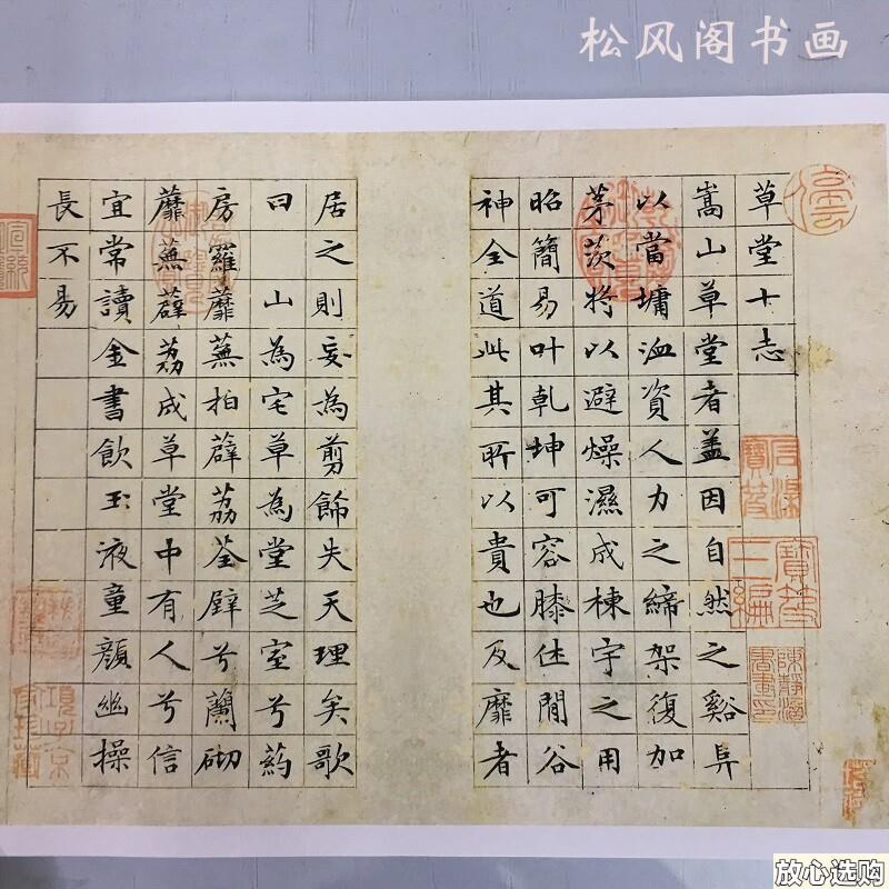文征明小楷书法草堂十志p复古字画真迹仿古复制品字帖临摹练习