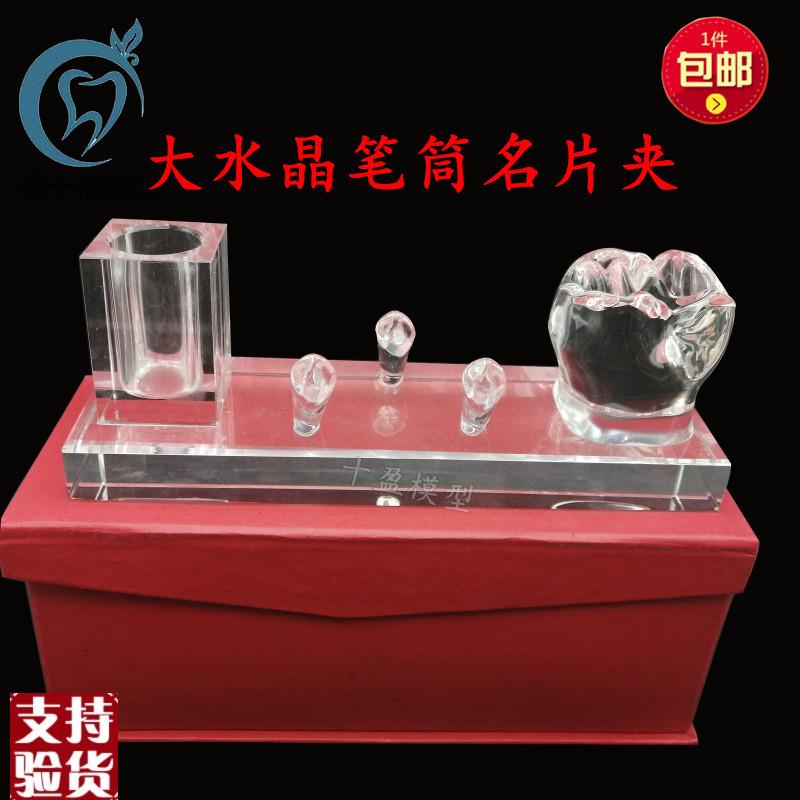 牙科摆件办公室摆件m高端水晶名片夹笔筒放置架牙齿形状摆件包邮