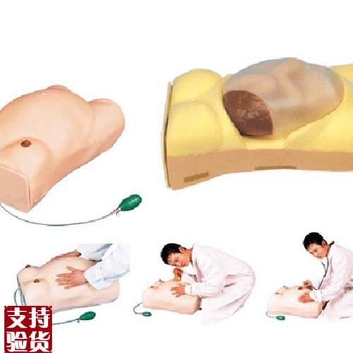 高级电脑孕妇检查模型GD/FW2/妇I科检查模型/怀孕检查模型