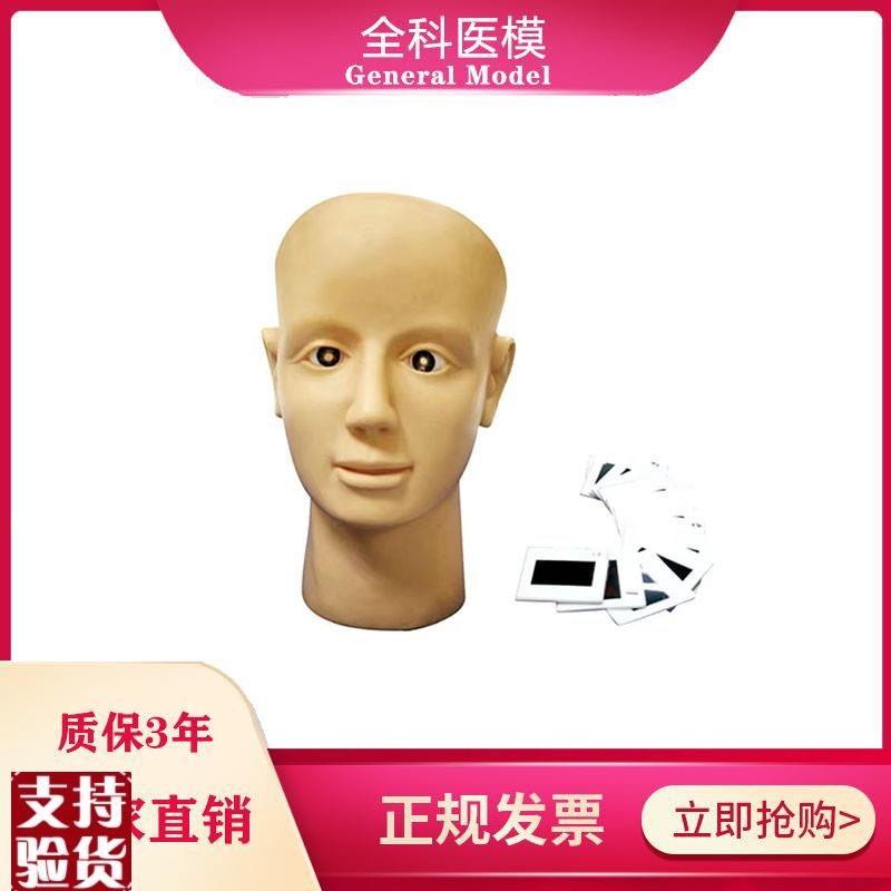 眼视网膜病变训练模型眼球检w查练习养老护理高血压糖尿病人眼睛
