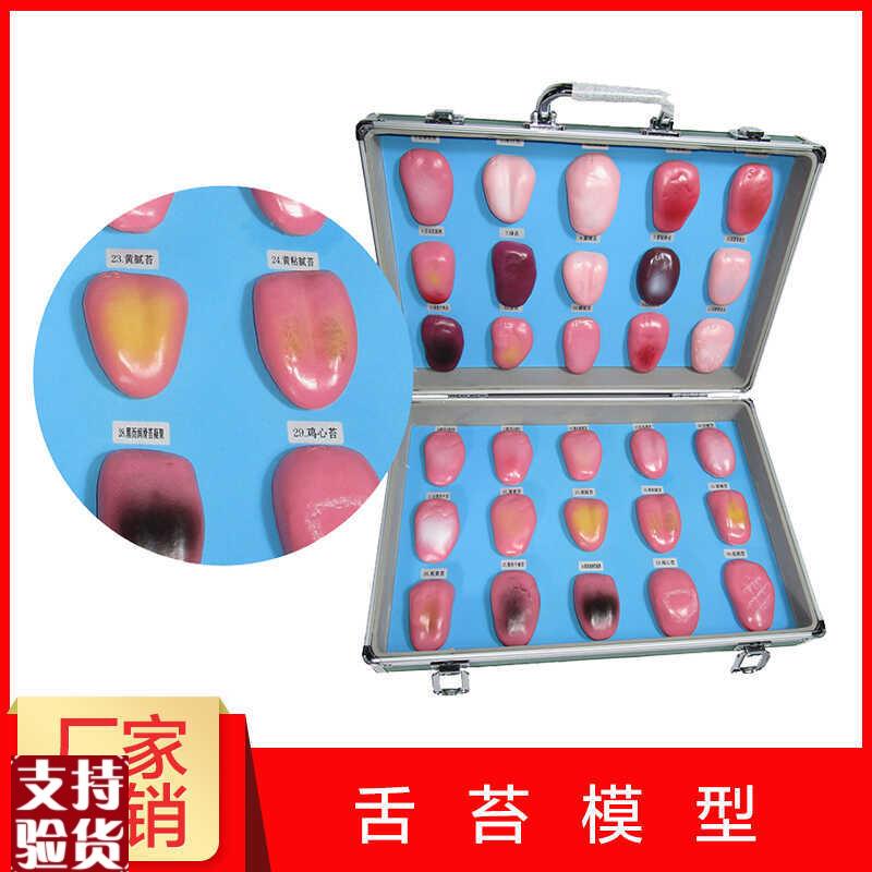 人体舌头舌苔模型l常见病舌苔病变比较中医口腔望诊教学解剖模型
